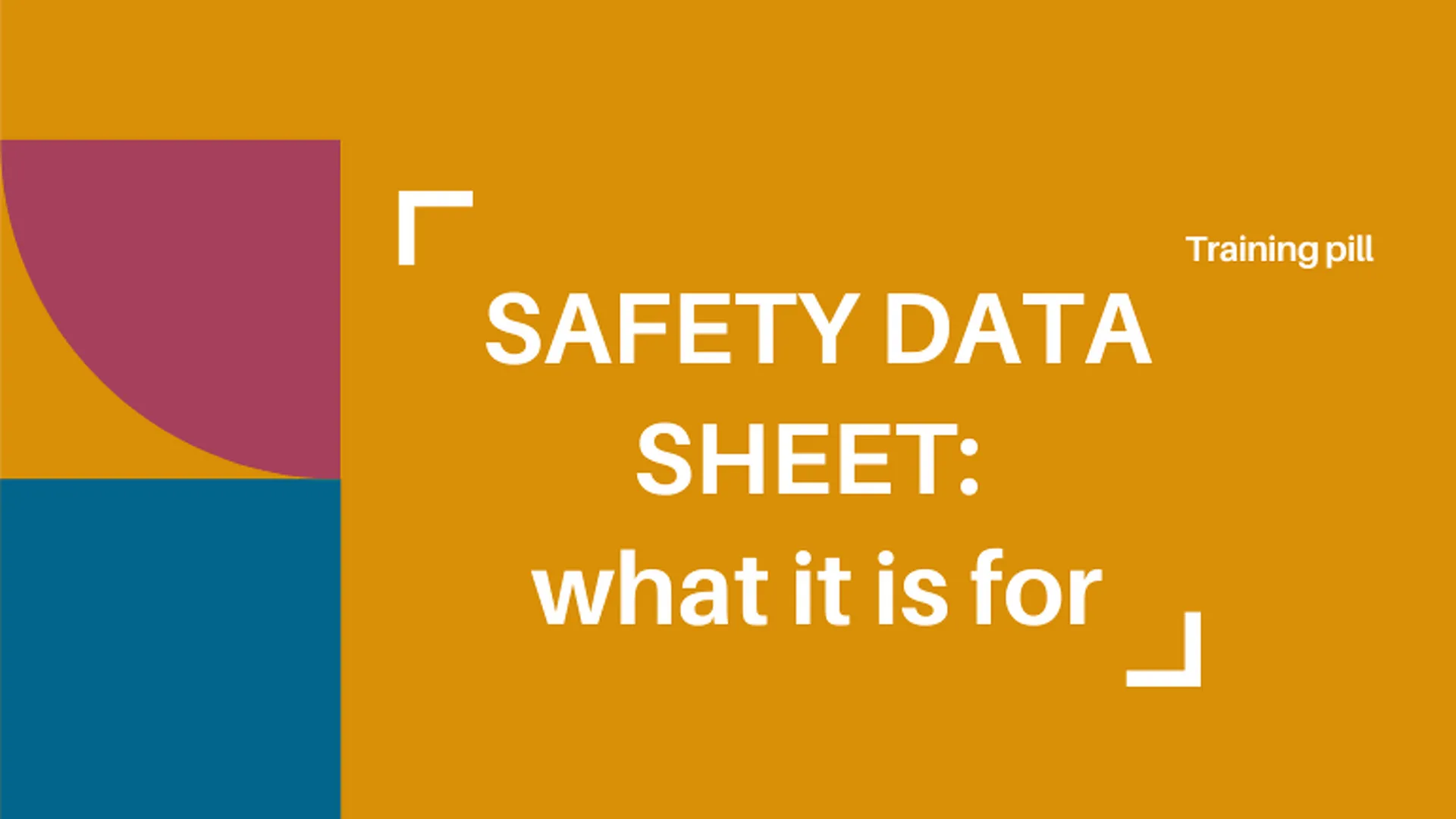 SAFETY DATA SHEET: what it is for